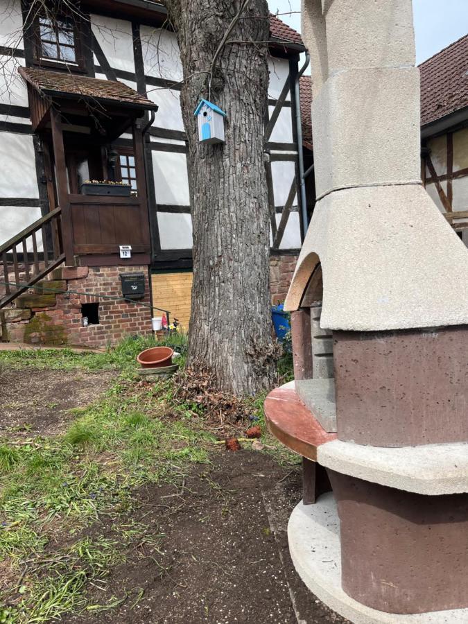 Appartement Fachwerk In Bergfreiheit à Bad Wildungen Extérieur photo